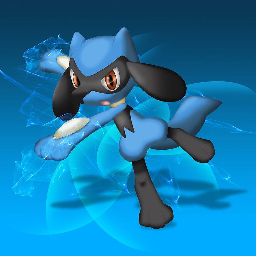 Jordan ( Riolu), from Pokemon Dusk, a roleplay, Cute Riolu HD phone wallpaper