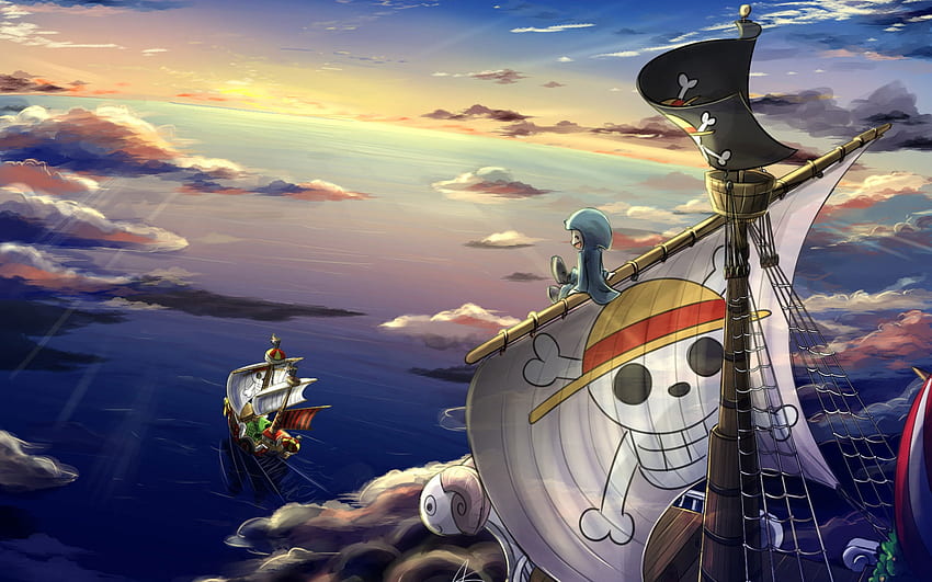 One Piece , Going Merry (One Piece), Sunny (One Piece), Thousand Sunny • For You For & Mobile, One Piece Aesthetic HD wallpaper