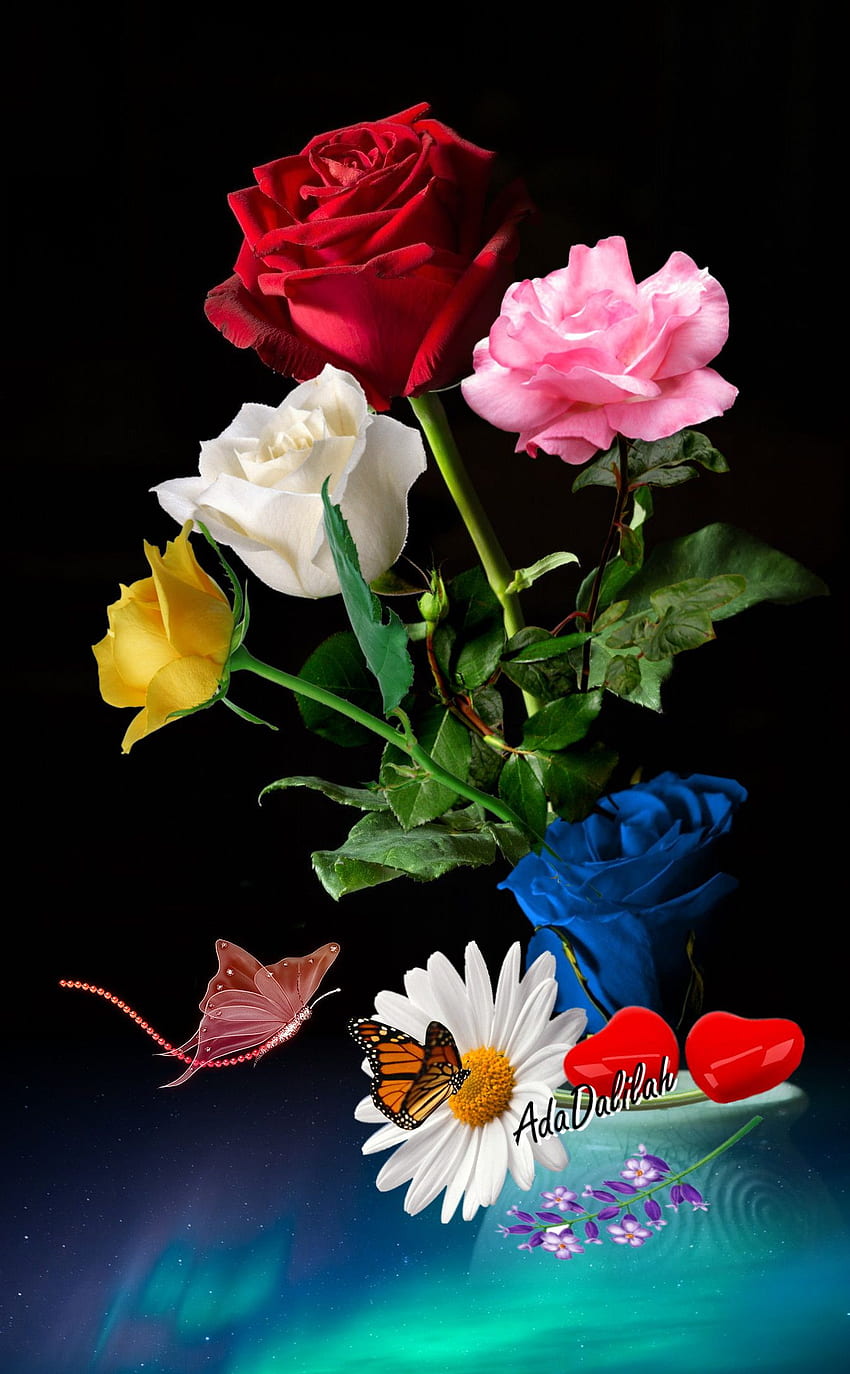 Otilio Fernández z. on GÜLLER. Beautiful flowers , Best flower , Beautiful flowers, Beautiful Love Flowers HD phone wallpaper