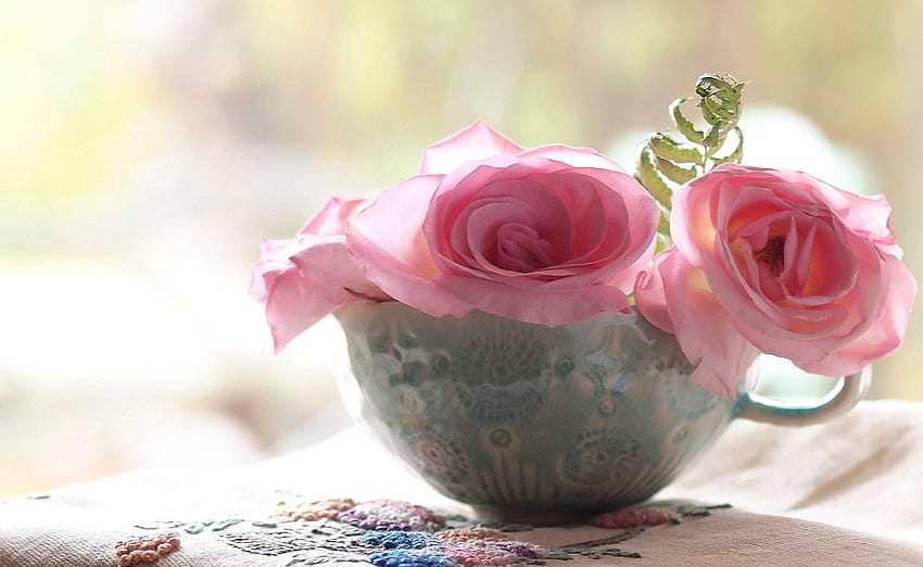 Blumen, Rosen, Tasse, Nahaufnahme HD-Hintergrundbild