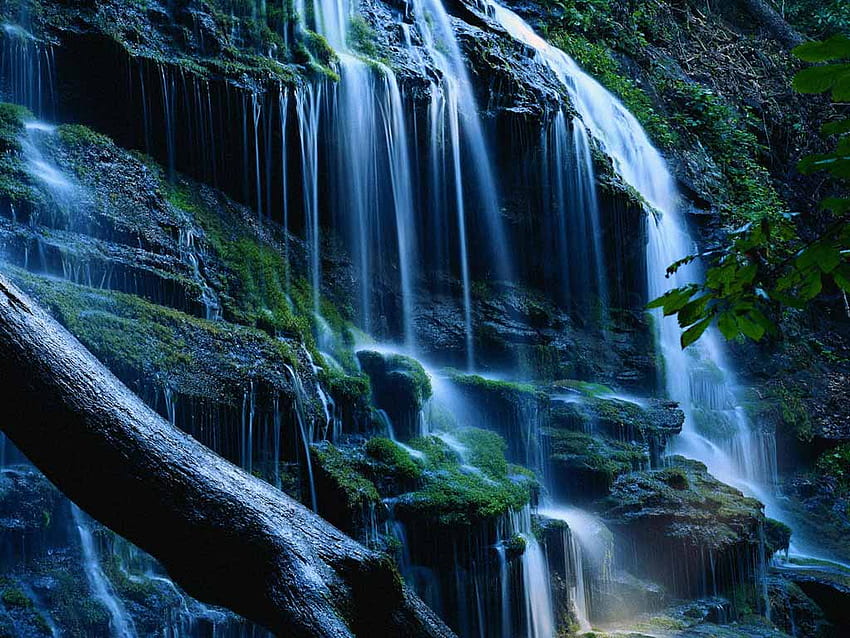 Blue Water fall, falls, river, wood, rocks, tree HD wallpaper