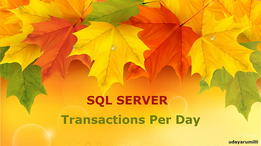 Sql-Server-Transaktionen pro Tag - Happy Thanksgiving, dankbar für Sie - HD-Hintergrundbild