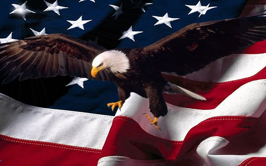 Орел с американски флаг. Американски знамена. Американски флагов орел, патриотичен плешив орел HD тапет