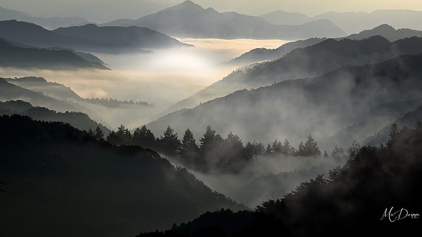 Into the Mist, thème Firefox, brume, brouillard, bois, arbres, ciel, montagnes, forêt Fond d'écran HD