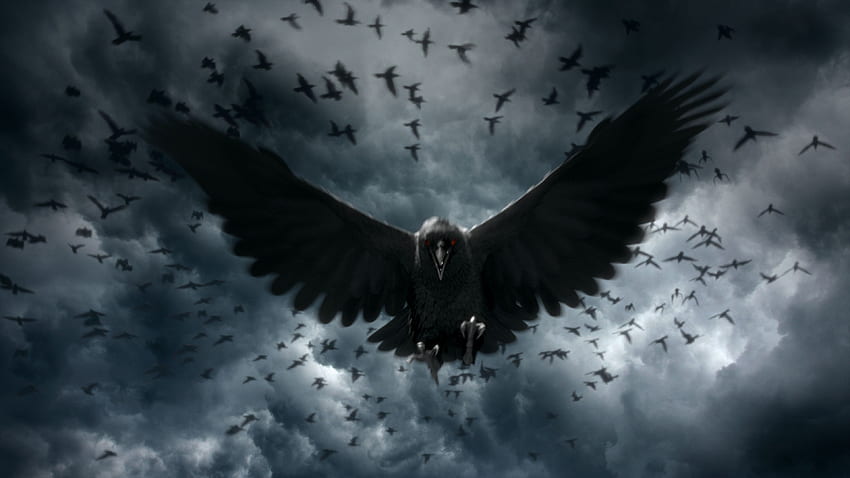 Black Crows Windows 10 - Animales U, El cuervo fondo de pantalla