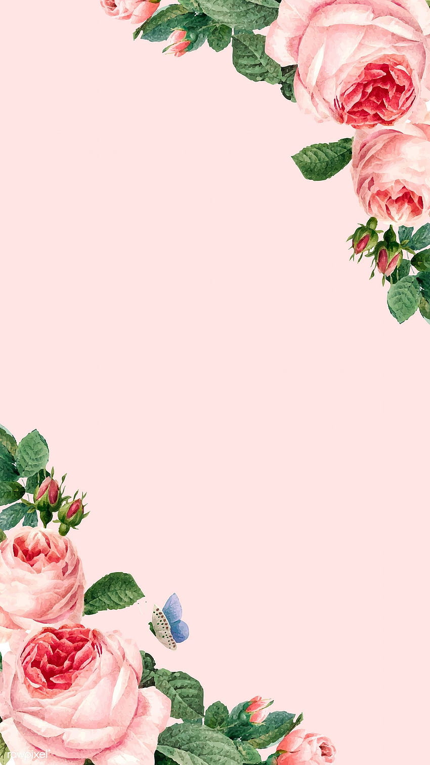 Marco de rosas rosadas dibujadas a mano en el vector de rosa pastel. by rawpixel in 2020. Flores rosas, floral rosa, de flores fondo de pantalla del teléfono