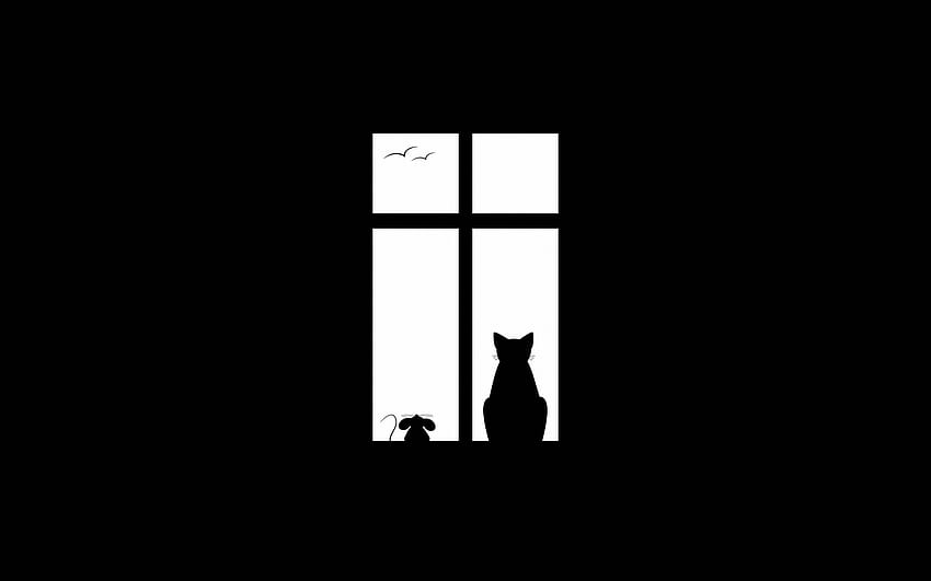 :-), pisica, putih, hitam, mouse, jendela, bw, kucing, minimalis Wallpaper HD
