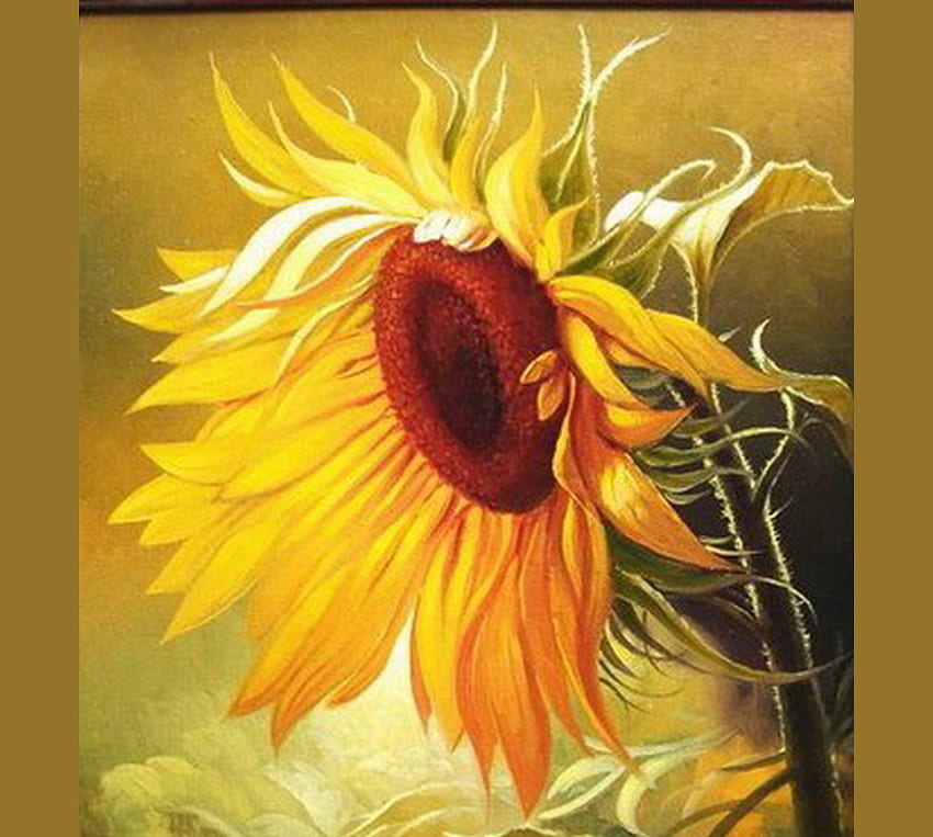 Sonnenblume, braun, grüne Blätter, gelb, Blume HD-Hintergrundbild