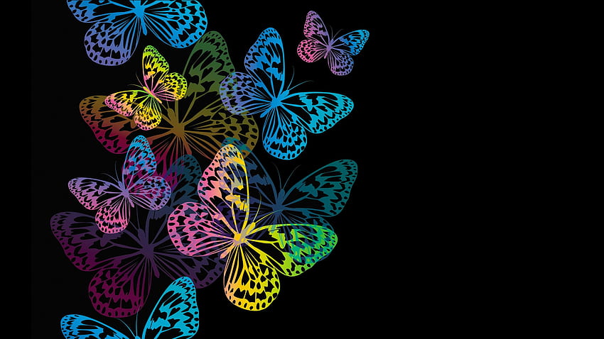 Kupu-kupu Berwarna-warni, Kupu-kupu Berwarna-warni Wallpaper HD