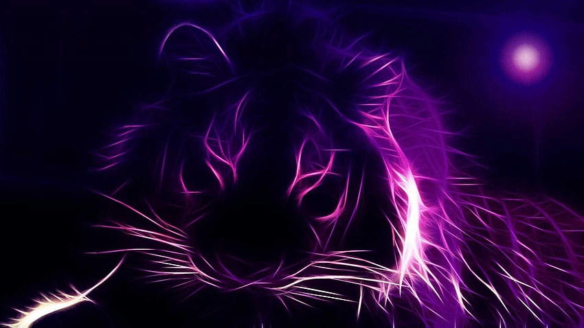 Liste des Aesthetic Purple - Light And Dark, Light Purple Computer Fond d'écran HD