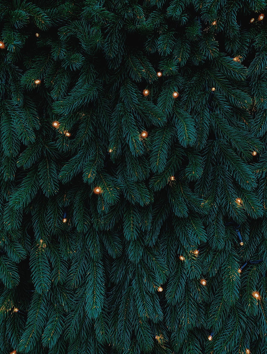 Liburan, Tahun Baru, Natal, Pohon Natal, Karangan Bunga, Karangan Bunga wallpaper ponsel HD