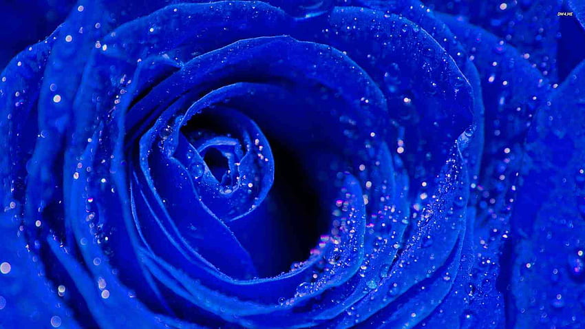 Bodacious Blue Flower Couronne Couronne Fleurs Artificielles Mariage Royal Fond d'écran HD