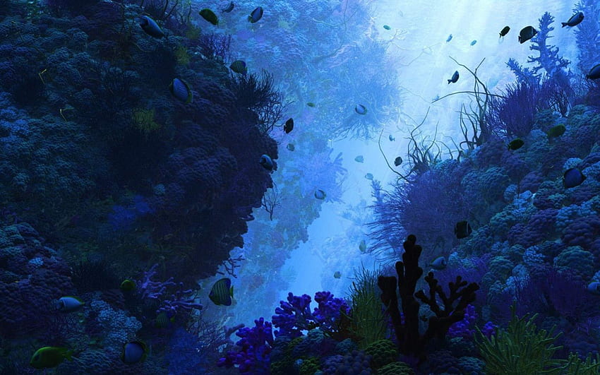 ใต้น้ำ สีฟ้า ทะเล ดำ มืด แฟนตาซี เขียว ปลา มหาสมุทร วอลล์เปเปอร์ HD