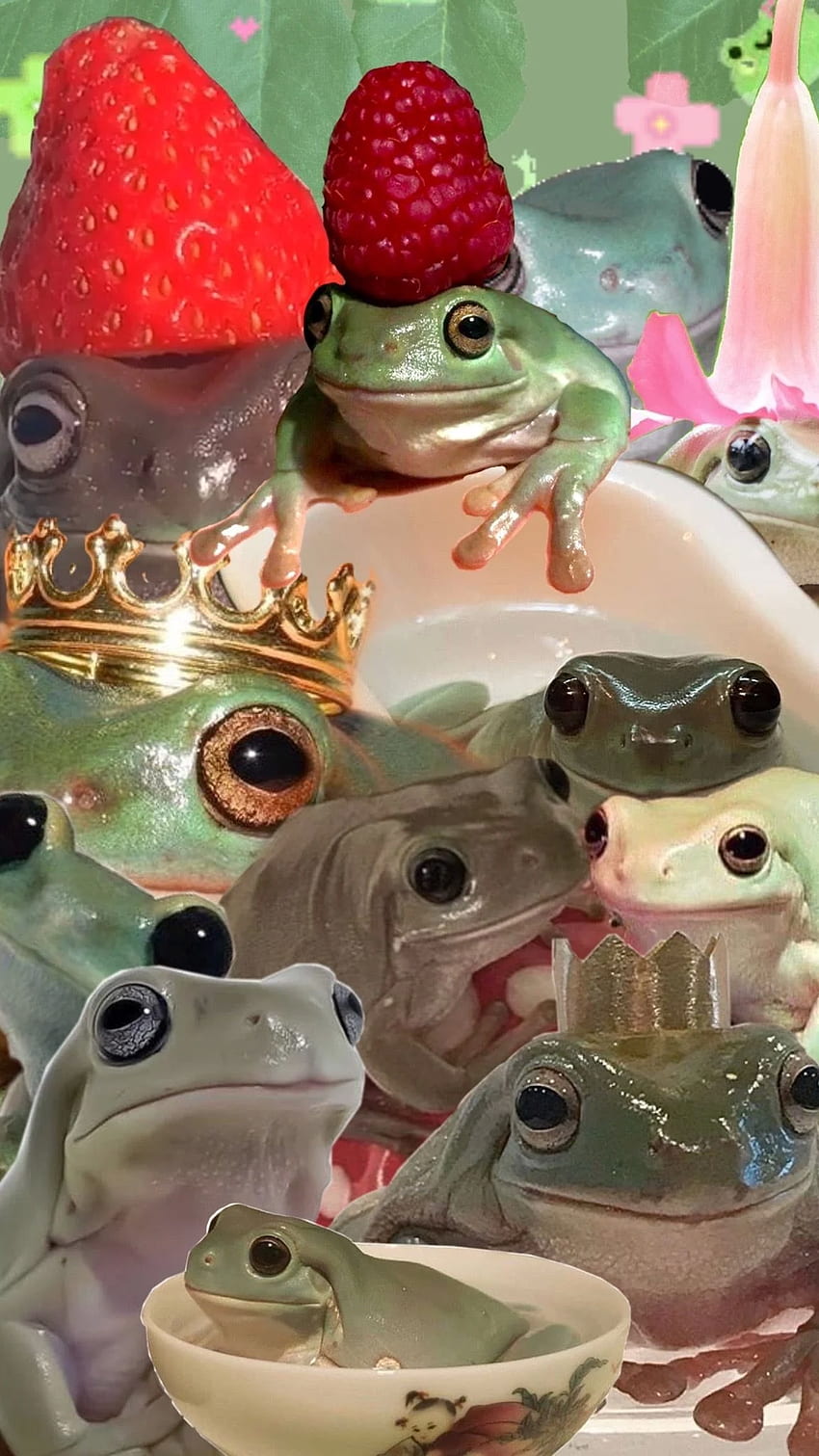Aesthetic Frog , Cute Frog HD phone wallpaper
