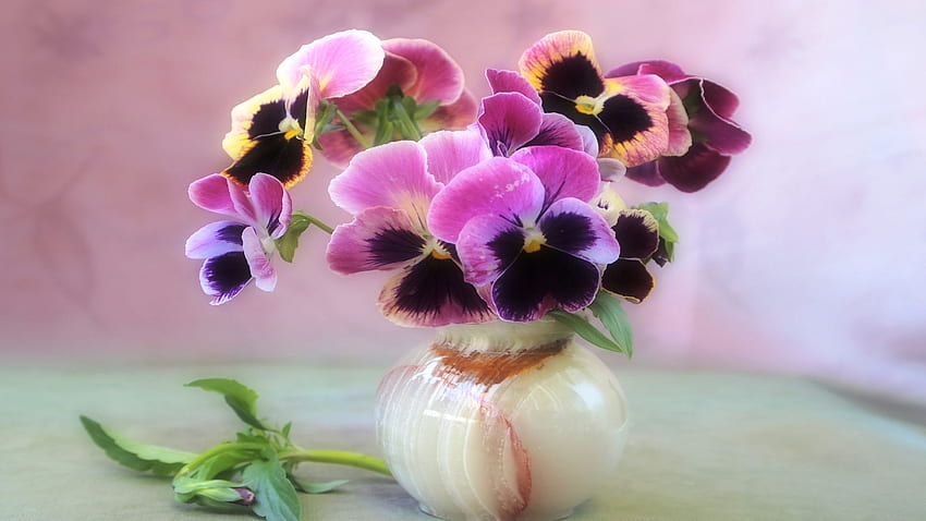 Beautiful Flower with Flowerpot HD wallpaper