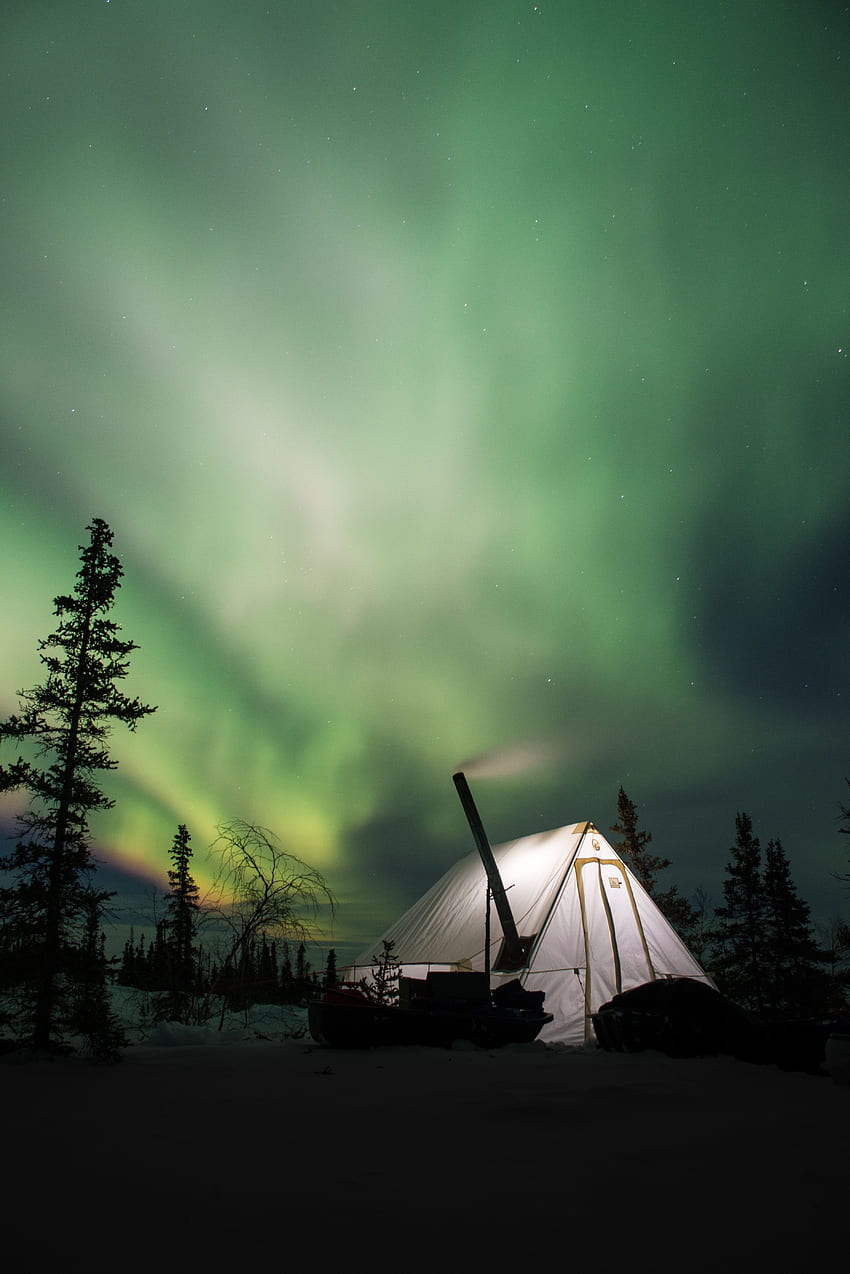 Nature, Night, Northern Lights, Aurora, Aurora Borealis, Tent, Camping, Campsite HD phone wallpaper