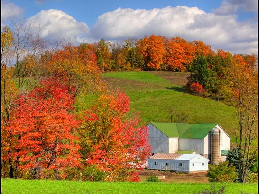 Autumn Landscape, trees, autumn, grass, sky HD wallpaper | Pxfuel