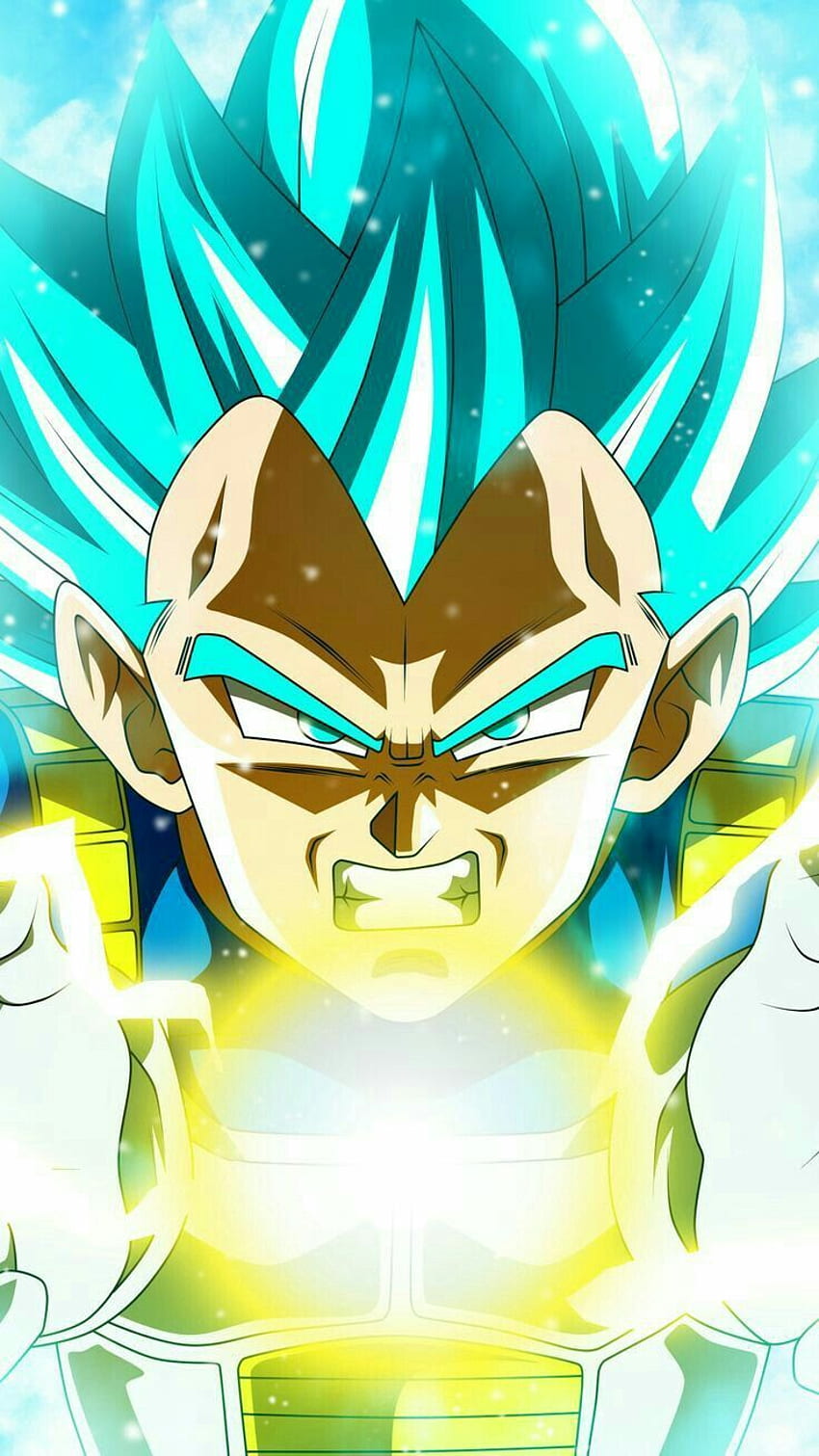 Tired improving an old edit, SSB Evolution Vegeta (FINAL FLASH) :  r/DragonballLegends