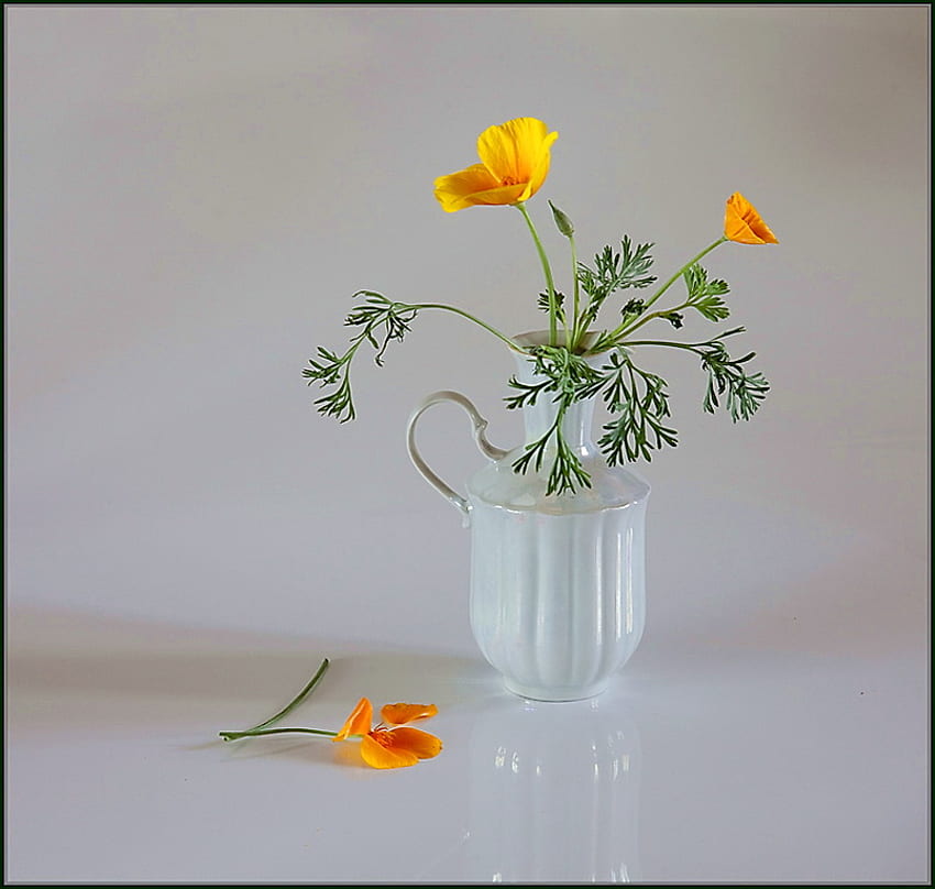 Simplicity, jug, green leaves, flowers, yellow and gold, water HD wallpaper