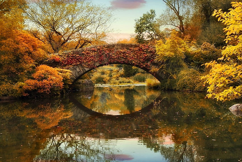 栄光の秋、川、栄光、秋、色、橋、秋 高画質の壁紙