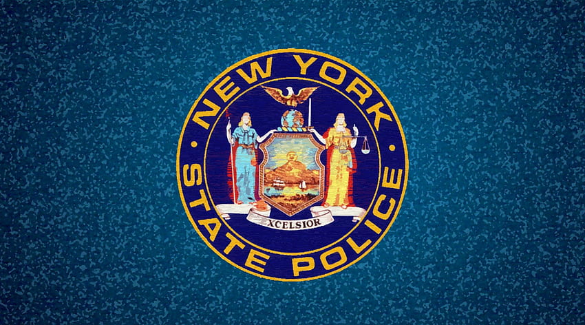 New York Eyalet Polisi - [Camo], asker, , York, ny, NYSP, Mühür, Polis, Eyalet, Yeni HD duvar kağıdı