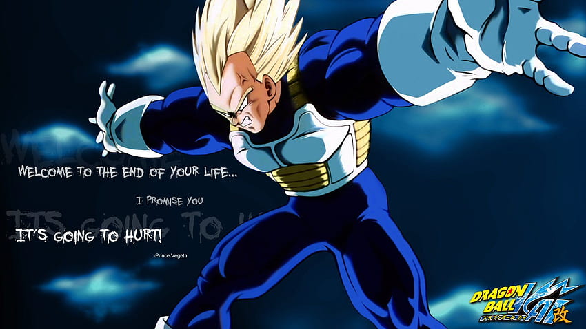 Frases de Vegeta, Vegeta Bulma fondo de pantalla | Pxfuel