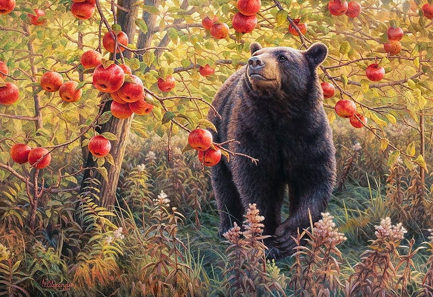 Day Dreams, apples, painting, bear, plants, tree HD wallpaper