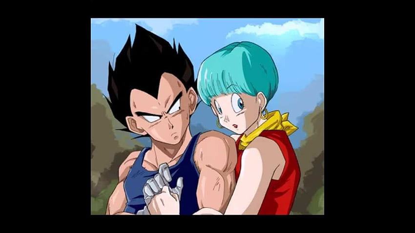 Vegeta bulma HD wallpapers  Pxfuel