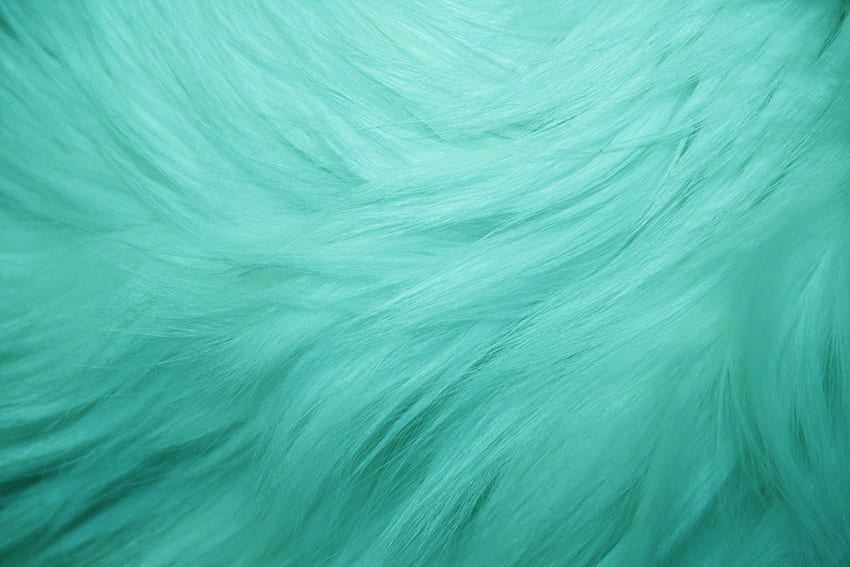 Cool Teal Background. Pretty Teal , Teal Floral and Teal, Blue Fur HD wallpaper
