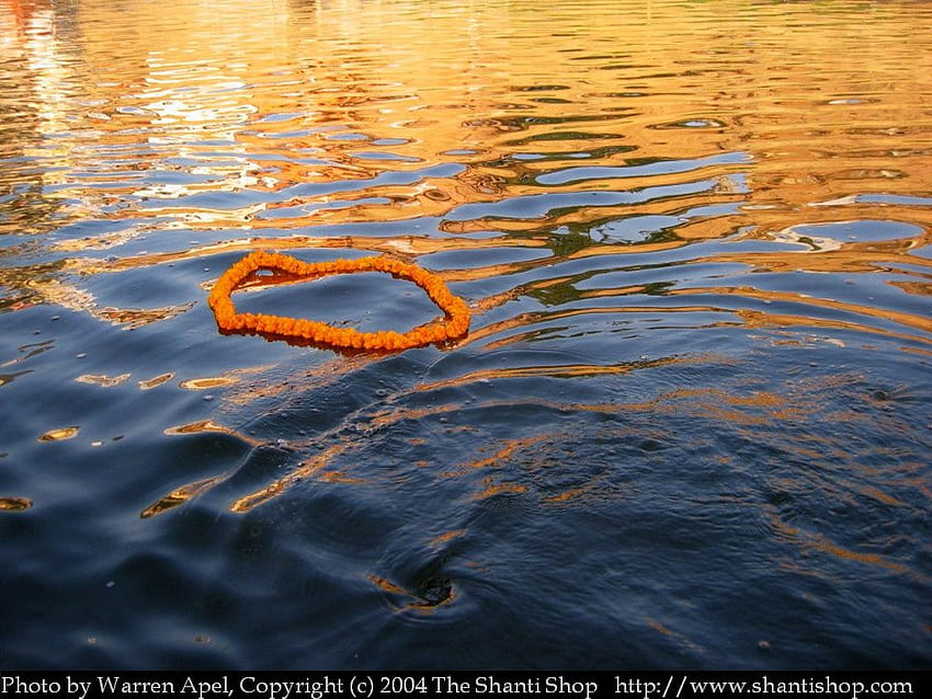 A Marigold Wreath Floats In The Waters Of The Holy - Ganga, Ganga River HD wallpaper