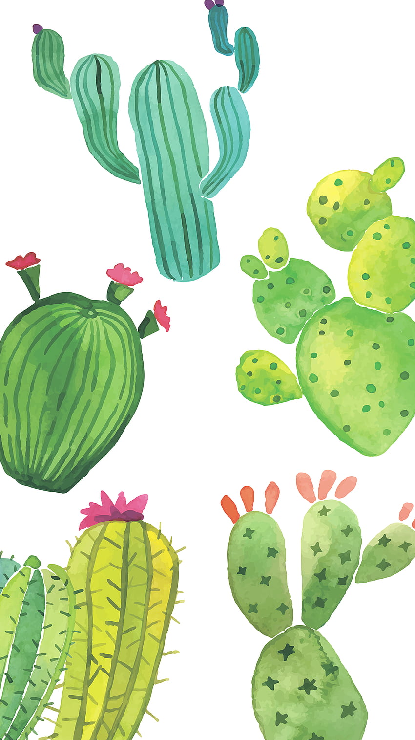 Cute Cactus, Cool Cactus HD phone wallpaper