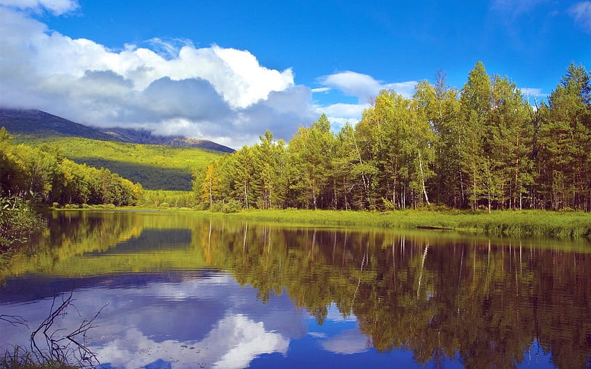 Natura, drzewa, niebo, chmury, jezioro, odbicie, brzeg, bank, las, Syberia Tapeta HD