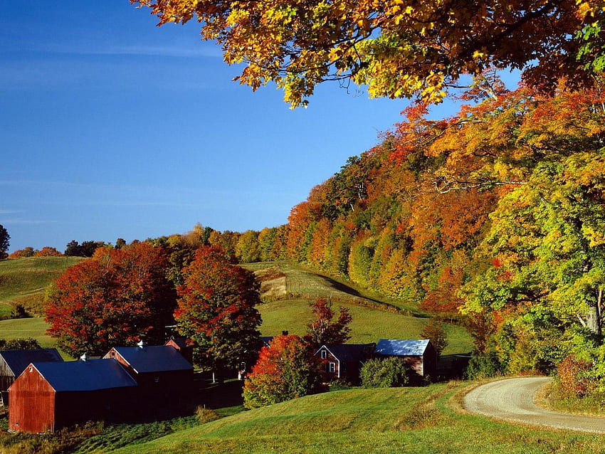 Nature, Houses, Trees, Autumn, Village, Meadows HD wallpaper