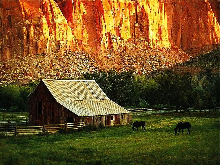 Country rising, horses, glow, farm, grass, sunrise, home, mountain HD wallpaper
