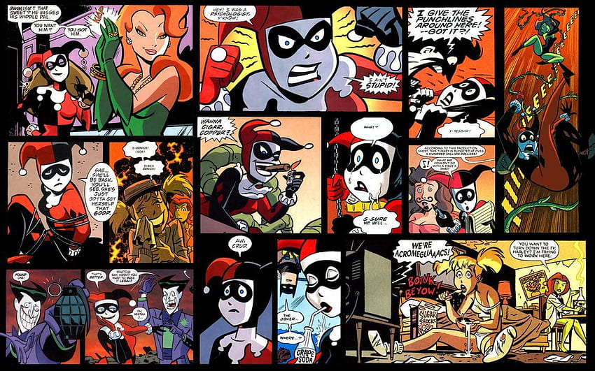 Harley Quinn, Mixed Cartoon HD wallpaper