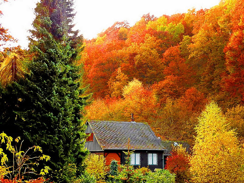 Casetta su una collina, casa, caduta, piccola, montagna, rosso, autunno, collina, natura, collina Sfondo HD