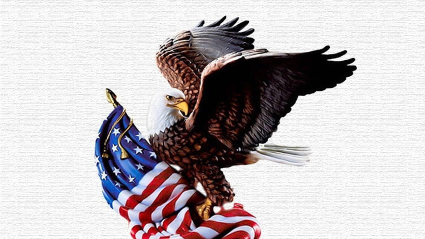 All American, Native Eagle HD wallpaper