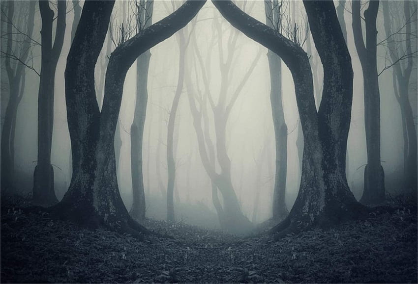 LFEEY ft Misty Woods Background Gloomy Forest Bare Trees graphy Backdrop Magic Grove Vampire Witch Wizard Sorcerer Ghost Evil Scary Halloween Party Decoration Studio Props Vinyl Banner : Electronics HD wallpaper
