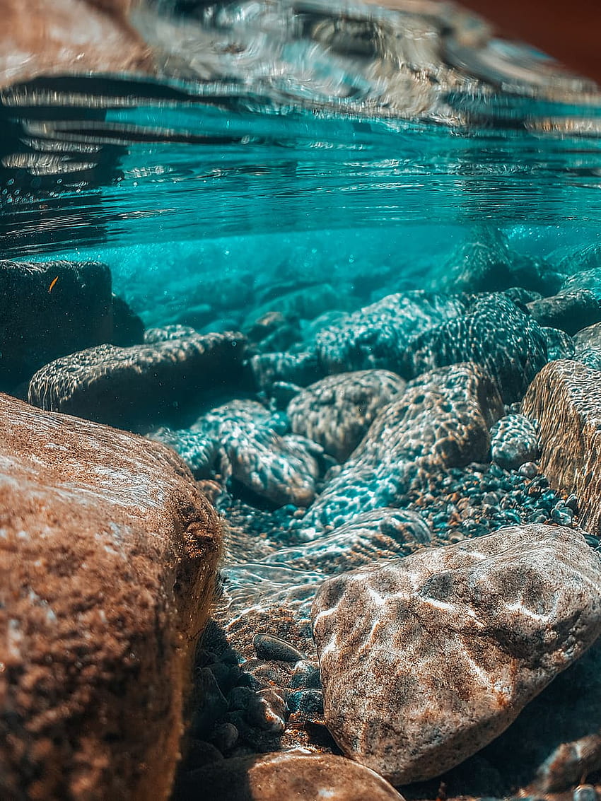 : 茶色い石の水中撮影、海、水中シーウォーク HD電話の壁紙