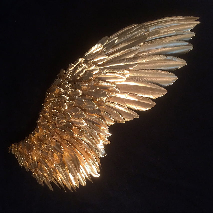 brown angel wings