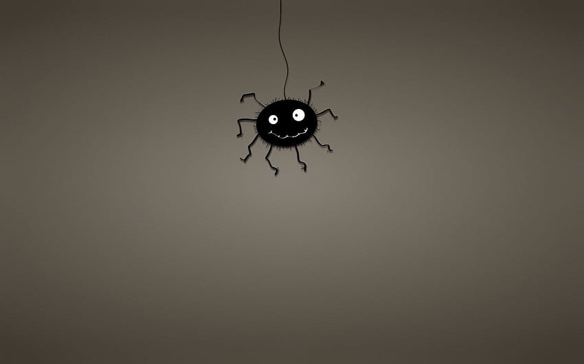 Spinne und Hintergrund, schwarzes Spinnennetz HD-Hintergrundbild