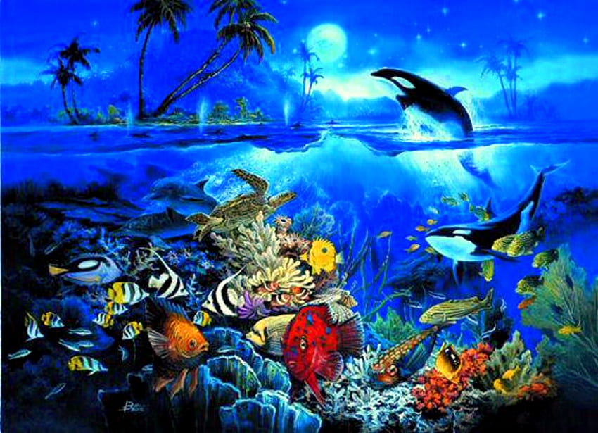 あなたの、モバイル＆タブレット用の水中海の背景の背景[]。 海底を探検。 スキューバ用、水中背景用、海中用、海中用 高画質の壁紙