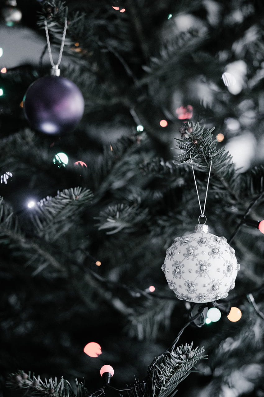 Tatiller, İğne, Yeni Yıl, Noel, Yılbaşı Süsleri, Yılbaşı Ağacı Oyuncakları, Yılbaşı Ağacı, Süsleme HD telefon duvar kağıdı