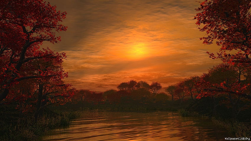 Orange and Brown Background. Nature, orange, background, - 360575. Sunset , Landscape , Forest sunset HD wallpaper