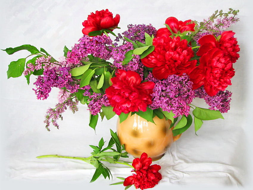 Still life, delicate, red, vase, flowers, lovely, harmony, nice HD wallpaper