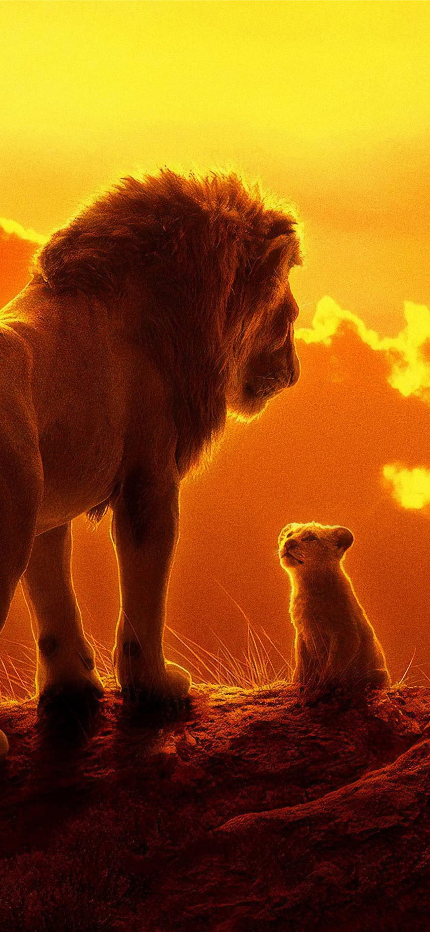 The Lion King 2019 Mufasa Simba iPhone HD phone wallpaper