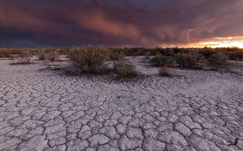 tekstura, pustynna gleba Tapeta HD