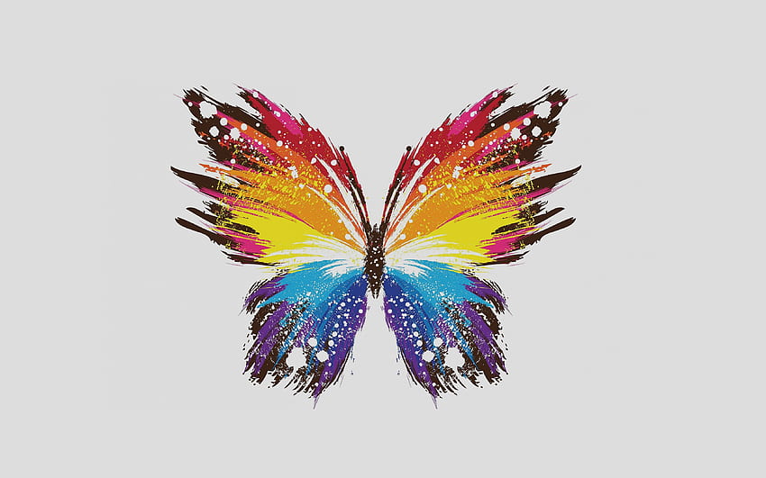 Schmetterlingskunst illustriert niedliche minimale Farbe., Schmetterlingsmalerei HD-Hintergrundbild