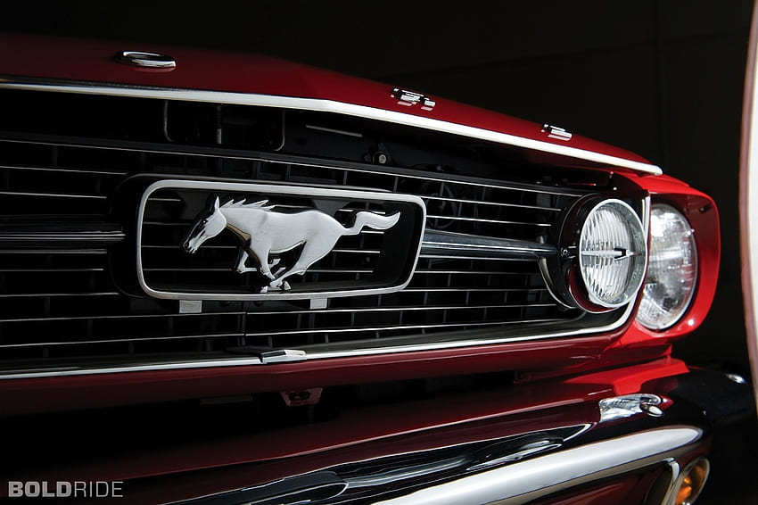 Mustang, Ford Mustang Tua Wallpaper HD