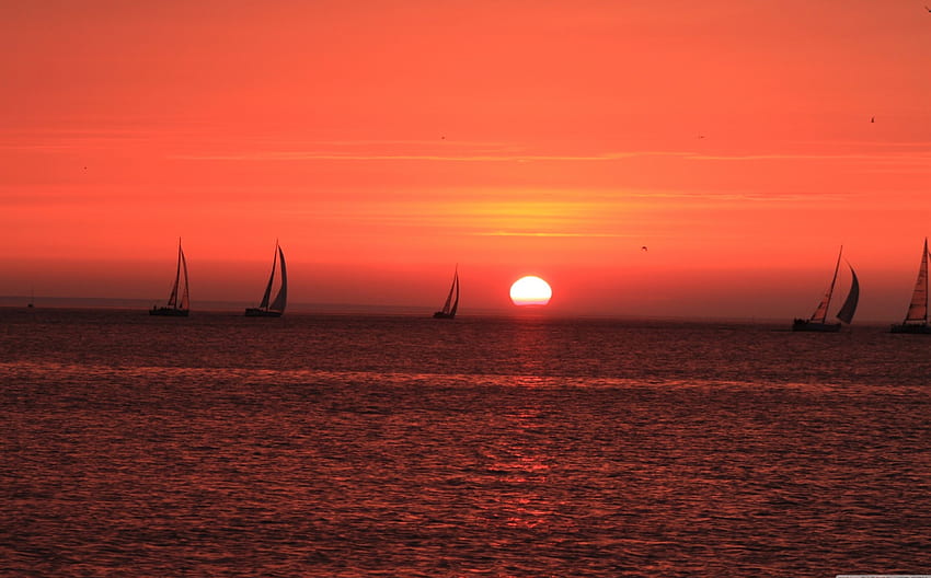 Sunset, sail, water, boats HD wallpaper